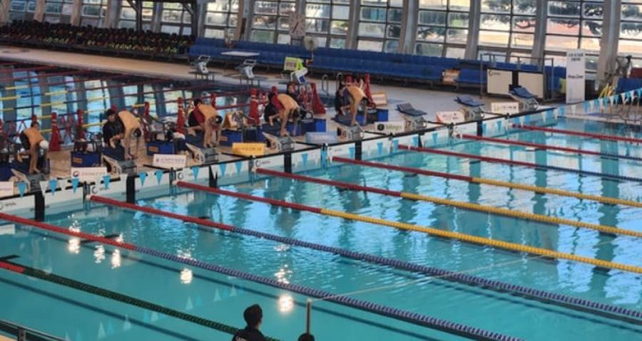 수영 중계 포스터