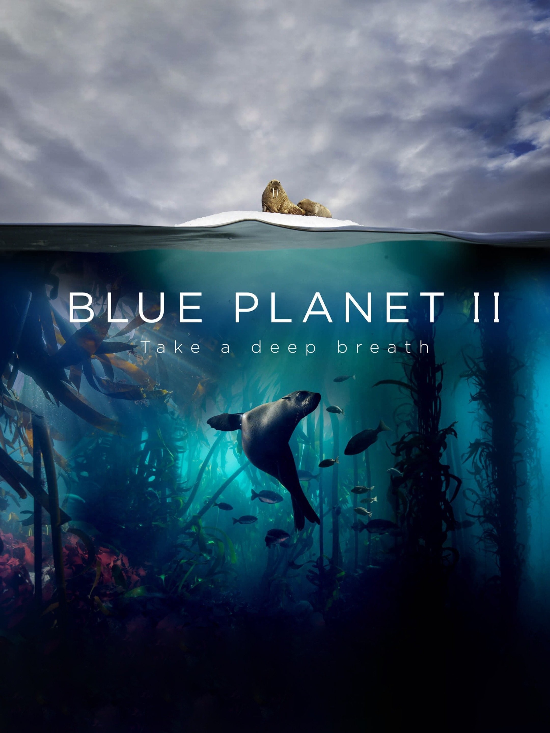 Blue Planet II (극장판) 포스터
